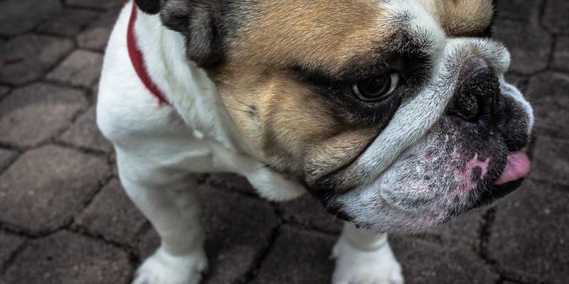 QUIC协议深度解析：HTTP/3如何基于UDP重构Web性能，应对队头阻塞与网络切换