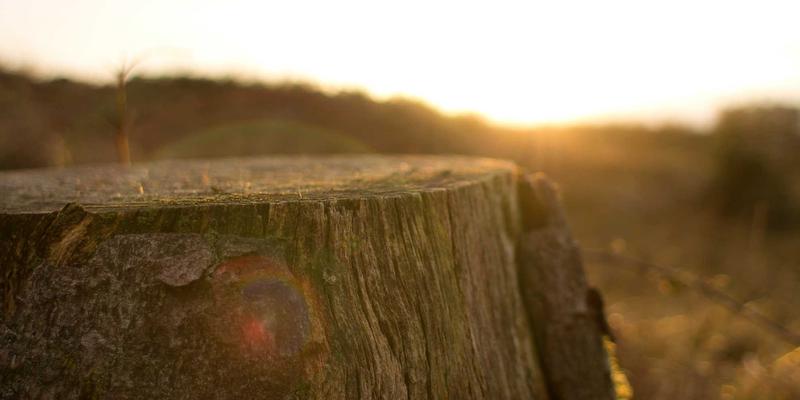 从云端到边缘：实战网络架构设计，附前端开发资源与编程教程
