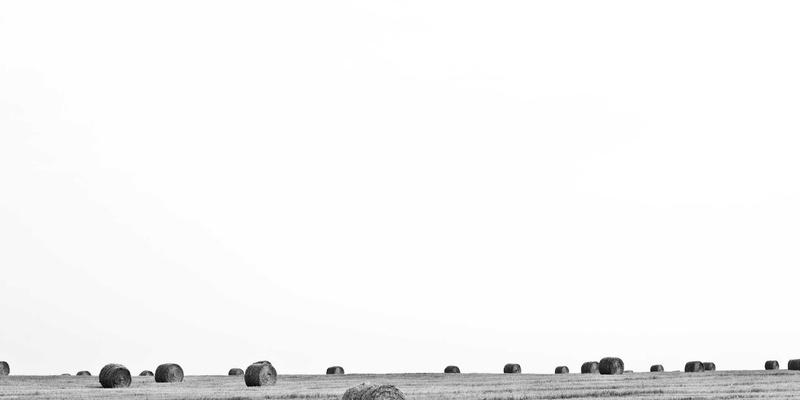 从正则到AI:深度解析DPI技术演进,后端开发者必知的网络流量检测实战指南